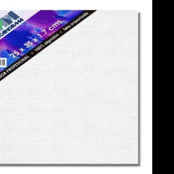 BASTIDOR PROF. 25X35X1.7CM. MECANORMAPINTO C.40